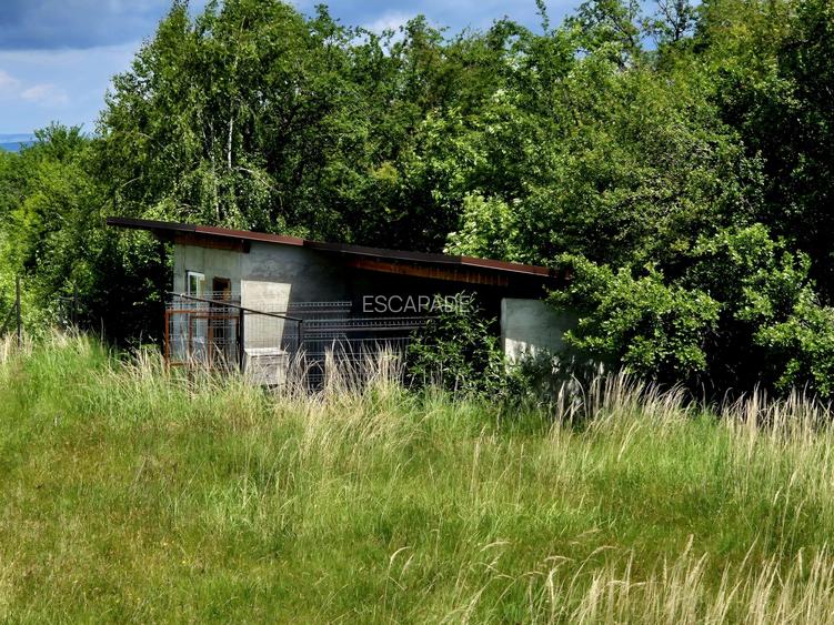 Oportunitate investitie camin seniori/pensiune/retreat Sambata de Sus - 4
