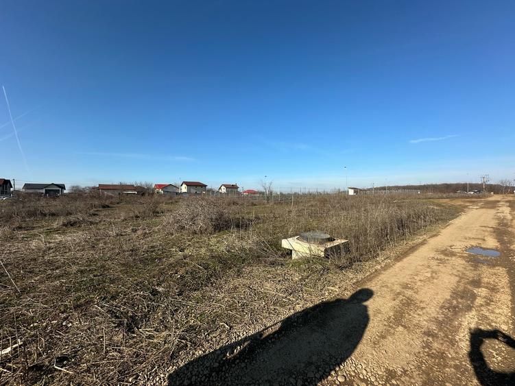 3368MP TEREN CONSTRUCTII MOGOSOAIA, APROAPE DE PRIMARIE, UTILITATI