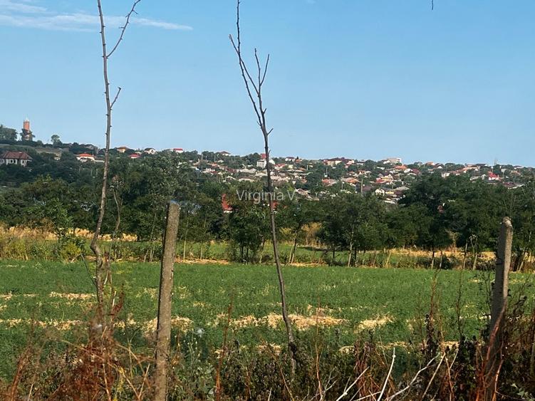 Teren intravilan premium de vânzare – Tuzla, litoralul românesc – 2.500 mp - 4