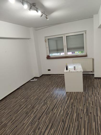 Banu Manta, Primaria Sectorului 1