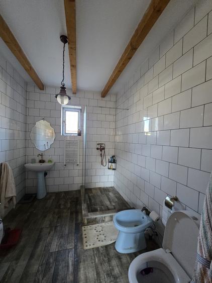 Casa de vacanta zona Cazasu