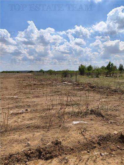 Teren intravilan de vanzare 28.200 mp Bucuresti Sector 6