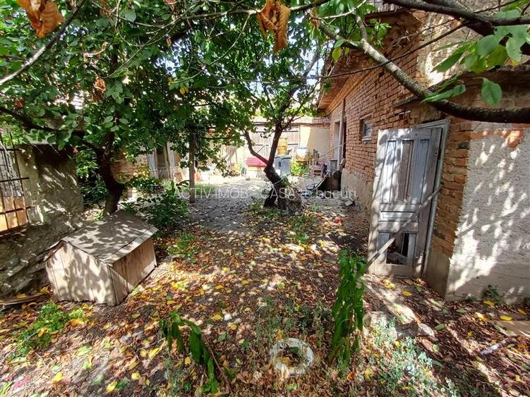 Moldova Noua, Casa Spatioasa Cu Curte, Langa Dunare, 360 Mp. Construiti, Mobilat - 33