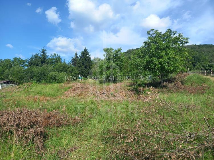 Teren în Fântânele – 3.673 mp, pârâu si cadru natural  deosebit - 5