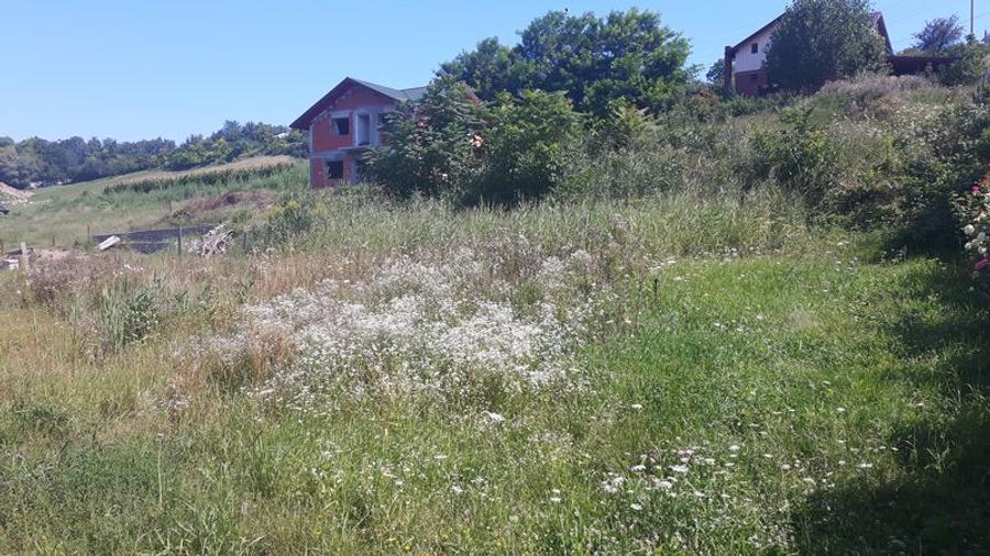 Loc de casa Bucovina - Curtesti