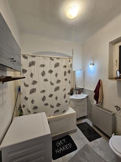 Elisabetin - Casa 4 Camere - Curte Comuna