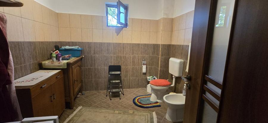 De Vânzare Casă zona Lucian Blaga Satu Mare