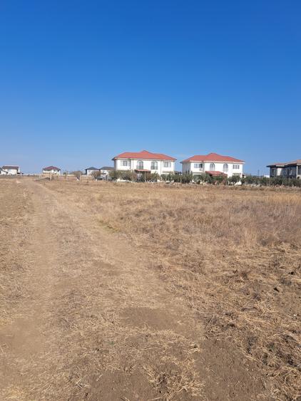 Teren linga strada Biruintei
