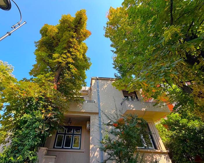 Apartament 4 camere Dorobanti Capitale