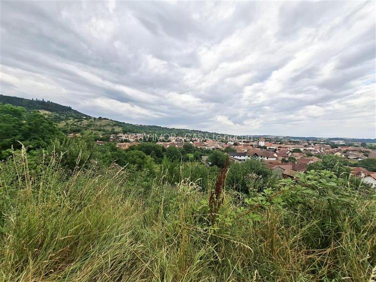 Teren intravilan de vanzare Saliste