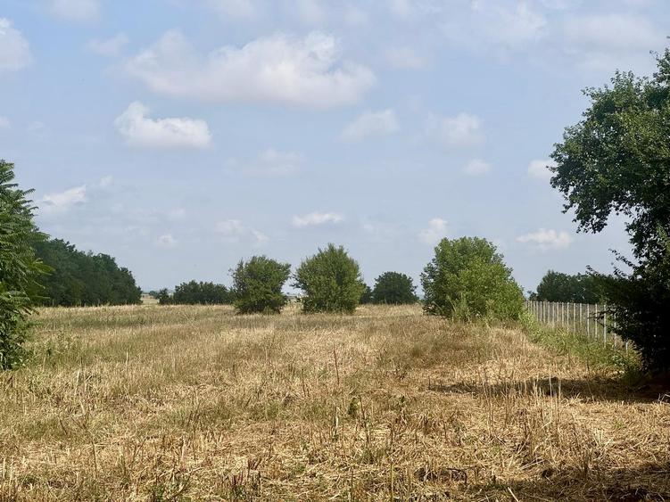 Oportunitate de investiție – Teren 3.000 mp în Gruiu, Ilfov
