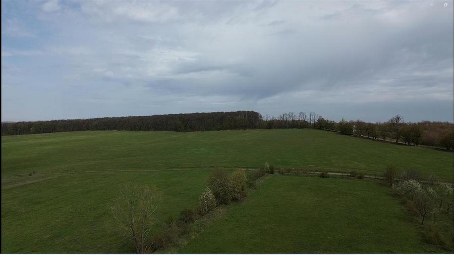 Teren intravilan de vânzare în Mitocu Dragomirnei | 5.800 mp | 43 m de