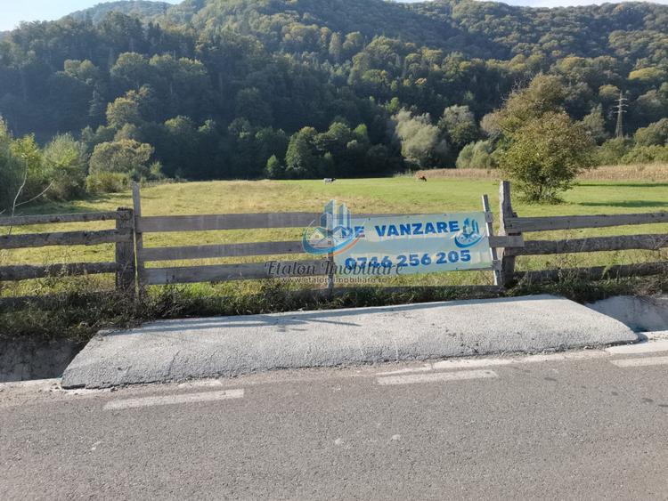 LOTURI- Teren Batca Doamnei – la lebede, 5250 mp, Neamt