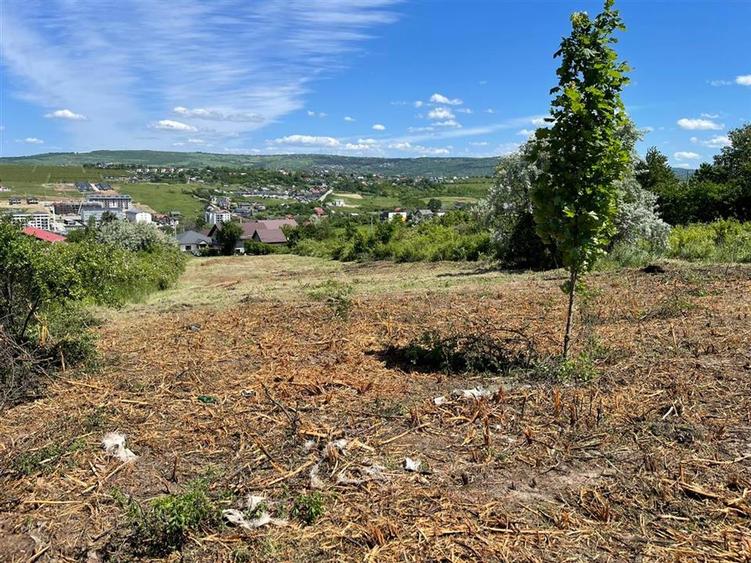 Ocazie! Visan TEREN 1616mp intravilan lot pt constructie casa