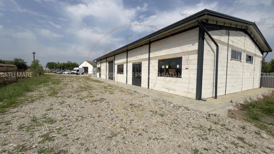 Inchiriere Hală Producție/Depozitare 300 mp, Teren 1791 mp - Carei - 3