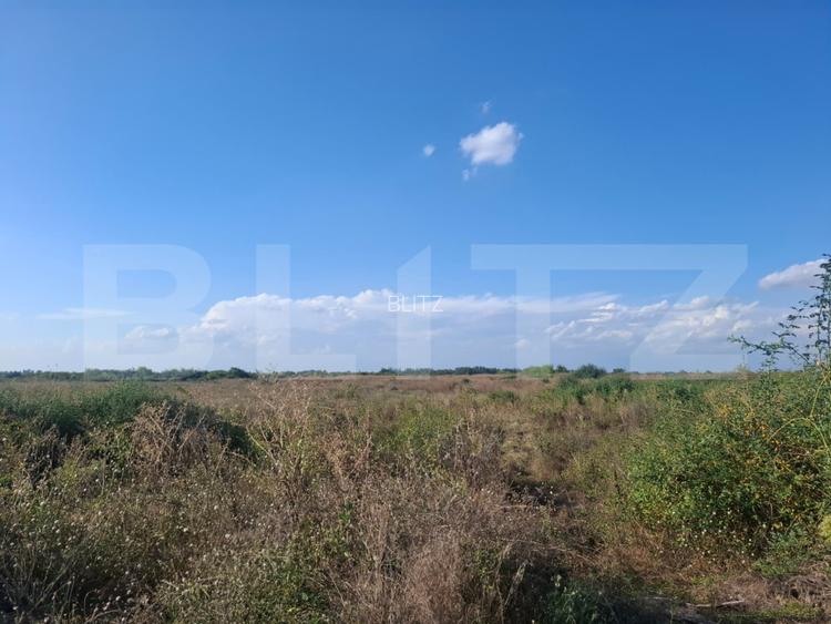 Teren extravilan de vanzare, 4.64 hectare, zona Matasaru - 2