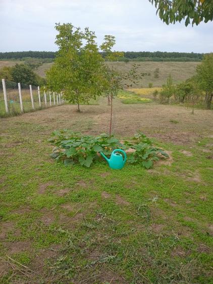 Casă cu panoramă la pădure, aproape de lacul de agrement