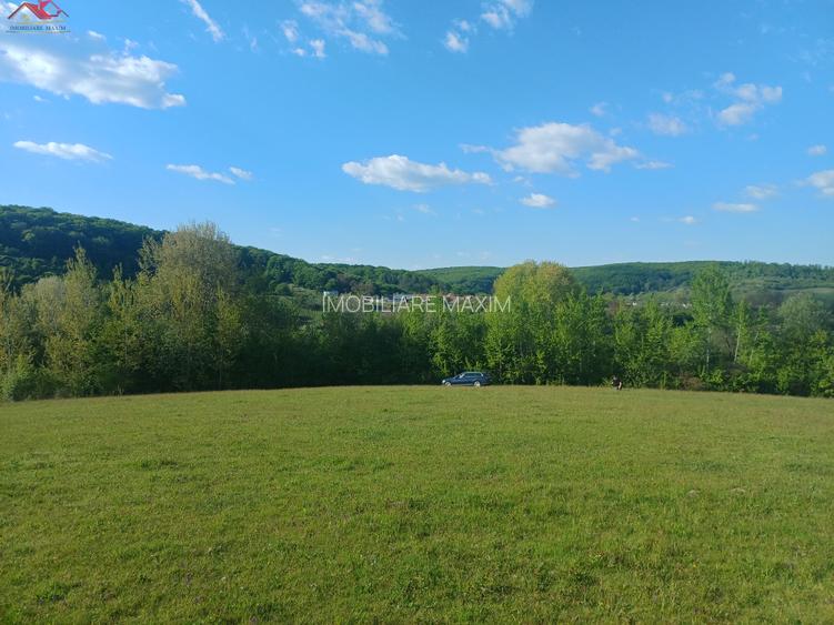 Teren extravilan Bradu - zona cu panorama superba - 6