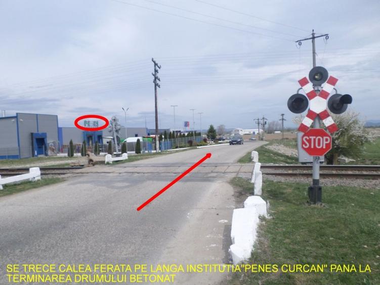 Teren ideal ferma, pt dezvoltare agricola, proiect fotovoltaice