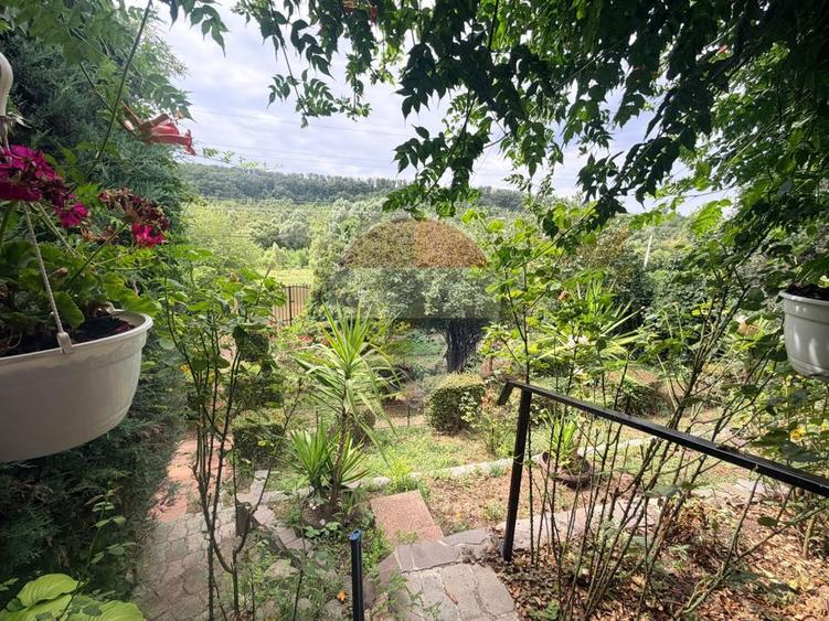 Leamna de sus, casa cu piscina, 2000mp