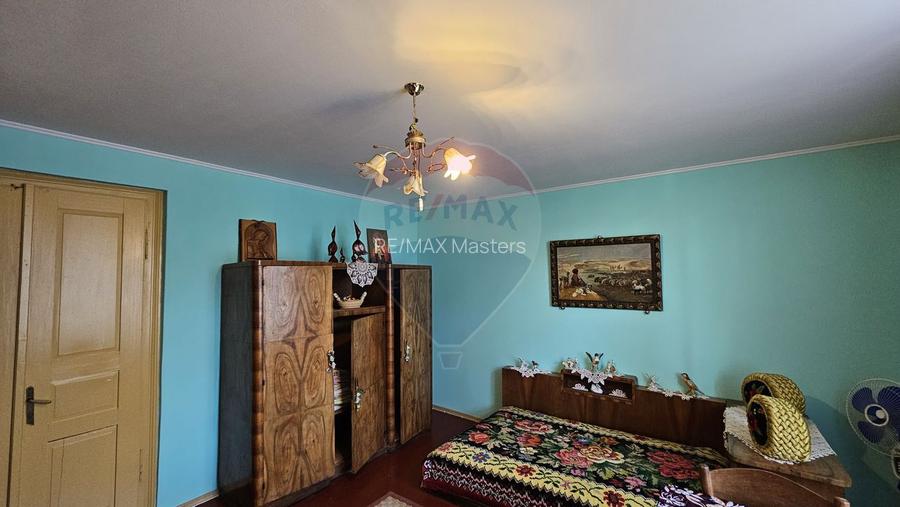 Casă / Vilă cu 3 camere de vânzare-Cacica-Suceava - 53