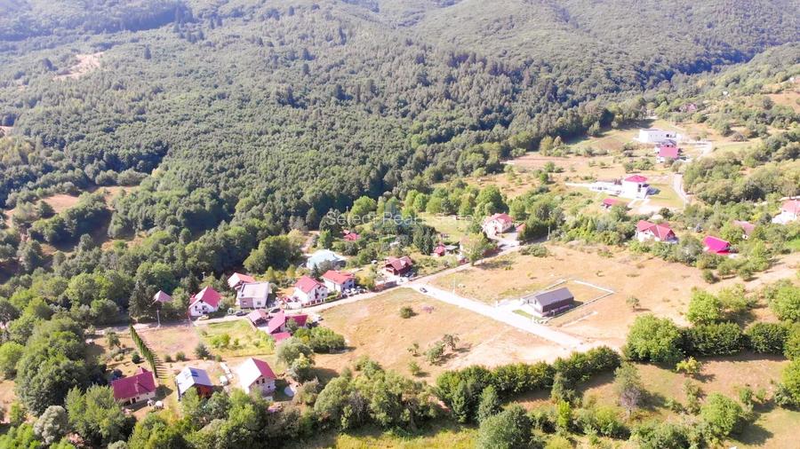 Parcele Teren cu PUZ si toate utilitatile / Cisnadioara-Sibiu - 10