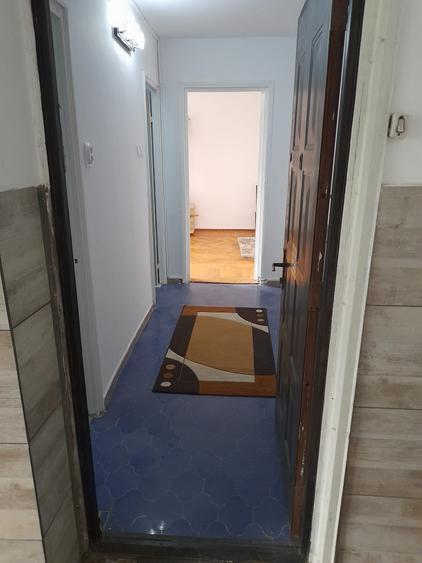 Teiul Doamnei, garsoniera 34 mp