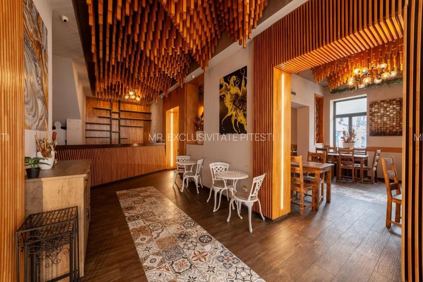 Spatiu comercial premium in vila – Bd. Republicii, Pitesti - 3