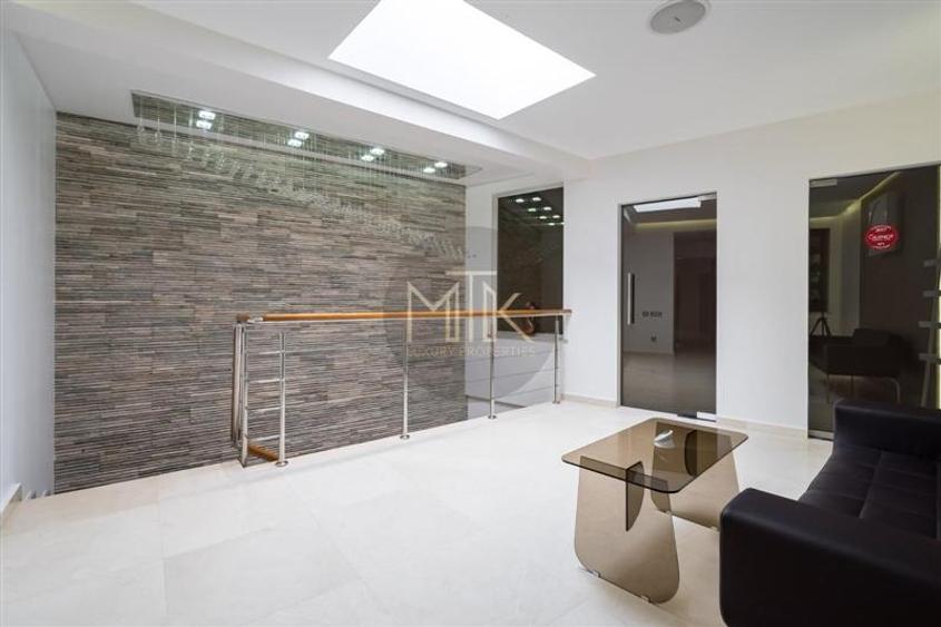 Proprietate premium cu curte – ideala pentru business-uri | LACUL TEI