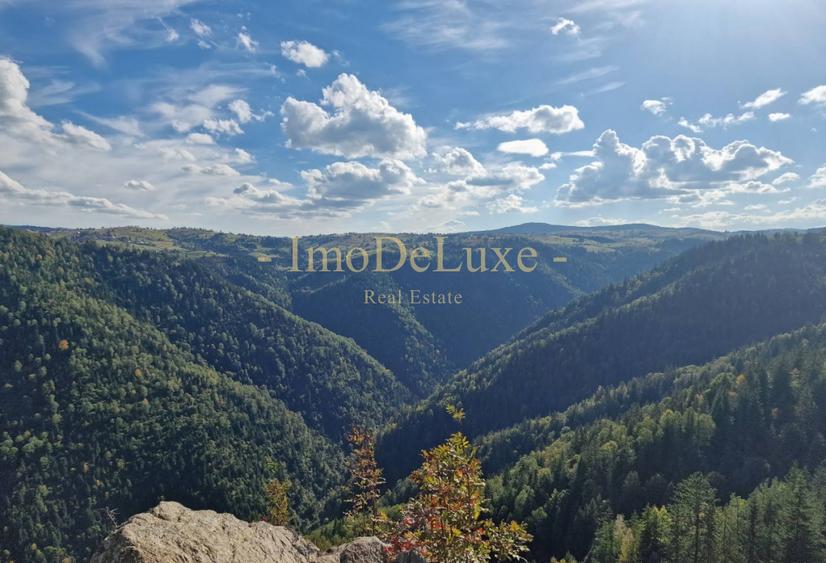 Teren extravilan, 3.4 hectare, priveliste, padure, utilitati, in Marisel