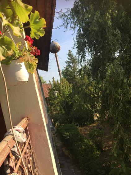 FERMA DE VANZARE! Pomi fructiferi, ,Oboga, Bals, Jud Olt