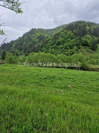 Teren intravilan - Rucar - Satic - 1775 mp - la strada principala - deschidere - 6
