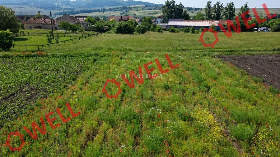 De vânzare teren intravilan în Baraolt, pe strada Baróti Szabó Dávid! - 6