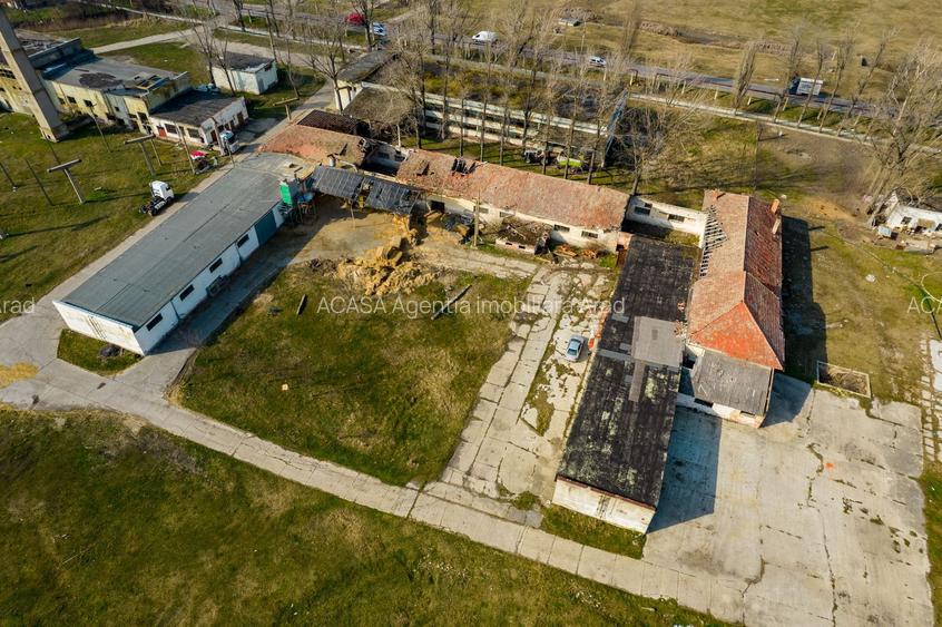 Teren industrial 42 ha Vama Nadlac - 5