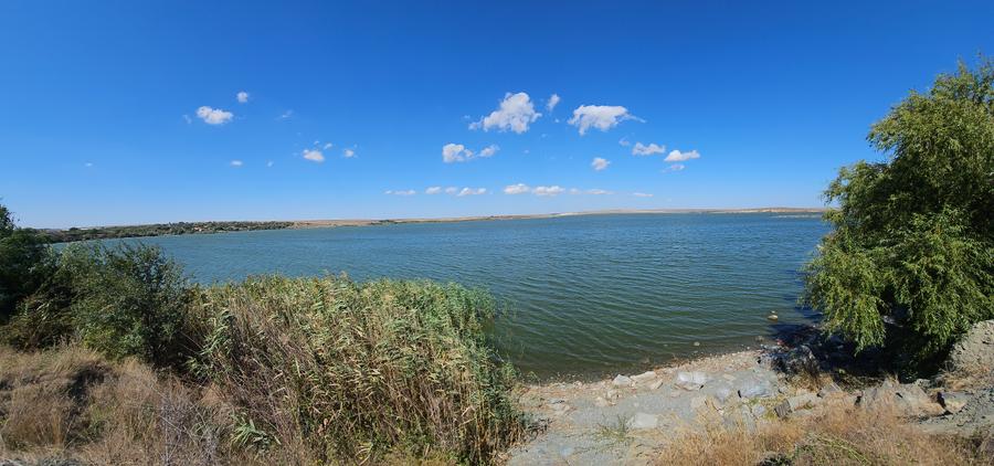 Teren Extravilan 10000 Mp Sibioara Constanta