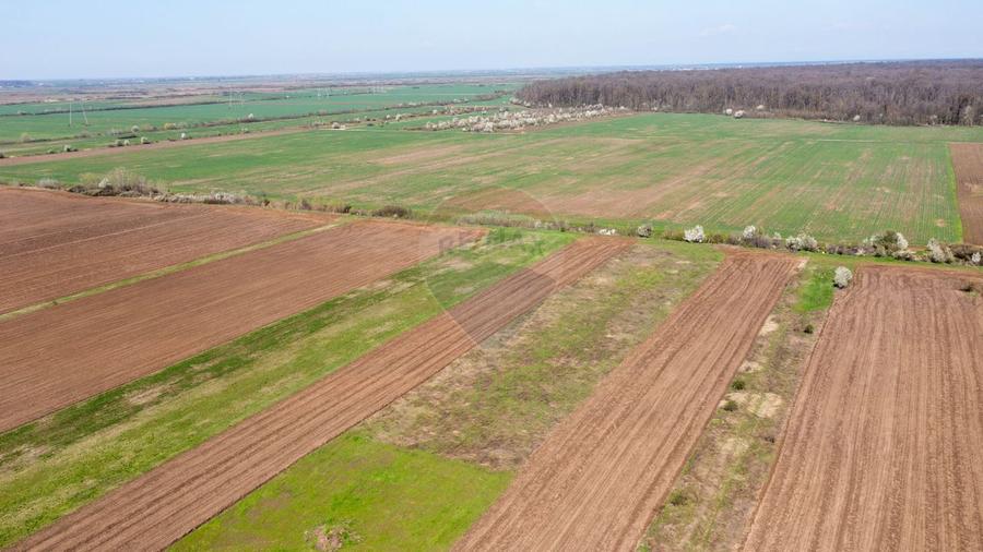 Vanzare teren intravilan 500 mp Sabareni / Strada Orhideelor