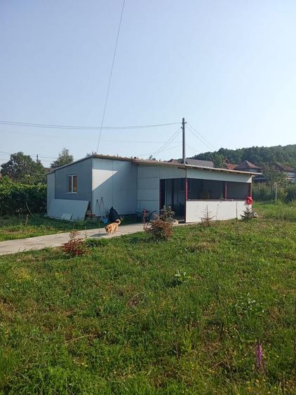 Proprietate deosebită de vânzare – Drăganu, Argeș