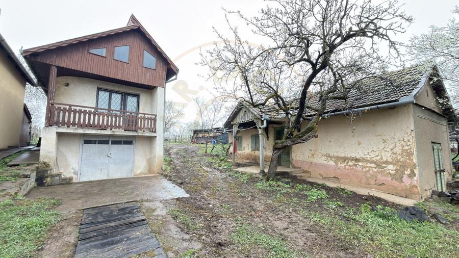 De vânzare 2 Case de vinificație cu Teren 4108 mp - Grădina Viilor - Carei