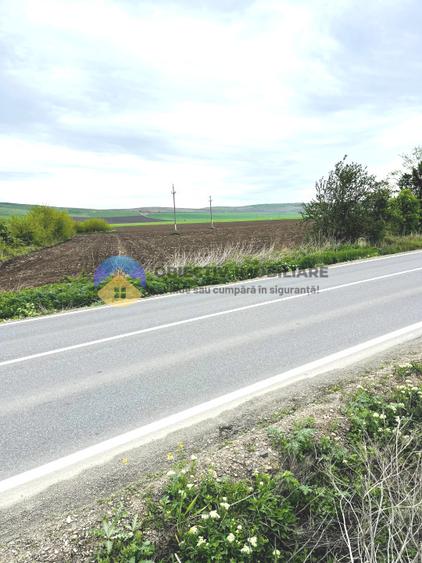 TEREN intravilan 4500 mp PIATRA NEAMT strada Izvoare.