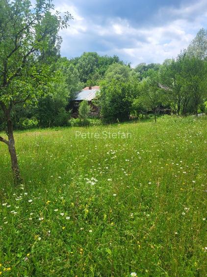 Vanzare 2 terenuri Breaza - 6
