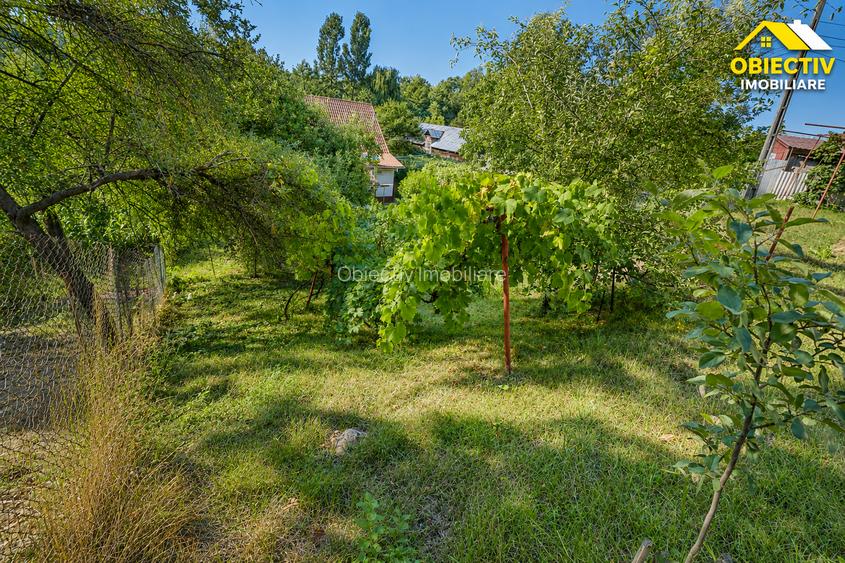 Casa P+E, 222 mp construiti, teren 1.078 mp, Borlesti, jud. Neamt - 7