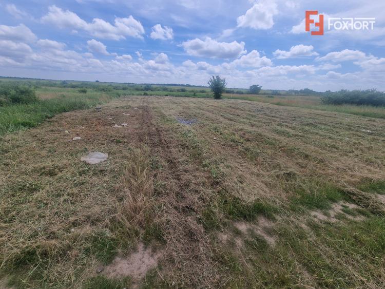 Teren intravilan de 743 mp in Mosnita Veche