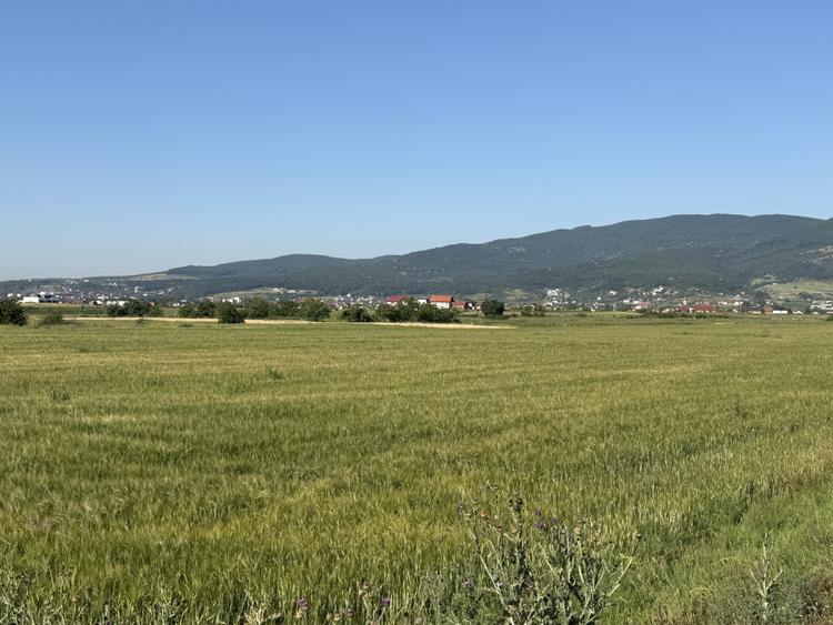 Teren Extravilan | 11.100 MP | 32M Deschidere| Orizont-Bărăbanț | OPORTUNITATE |