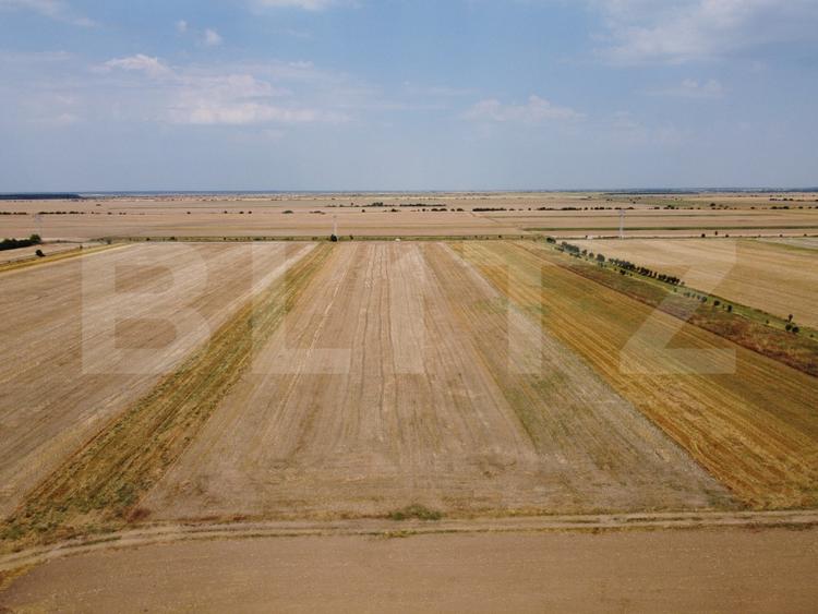 Teren Intravilan, de vanzare, 7500 mp, zona Mircea Voda