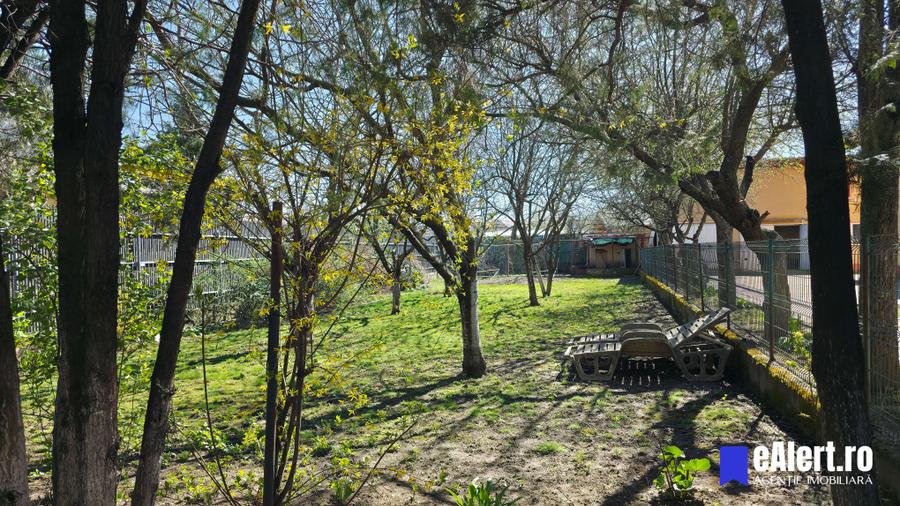 Proprietate multifuncțională, Vilă 6 camere, Magurele, Ilfov