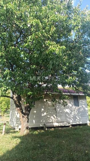 Tren si casa de vacanta in Panticeu - 5