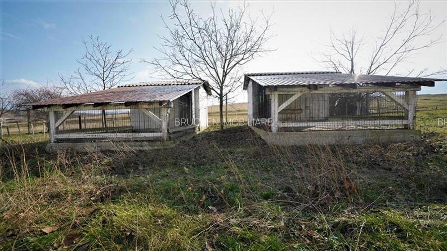 MICRO-FERMA + CASA IN VOIVOZI - BIHOR - 13