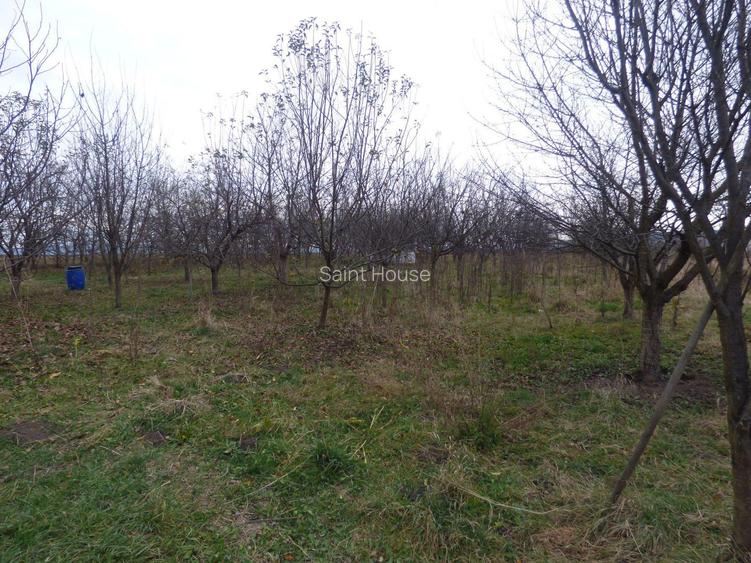 Vila cu 6 camere + 2 case + bazin inot+ 5.934 mp teren  com. Chichis - 24