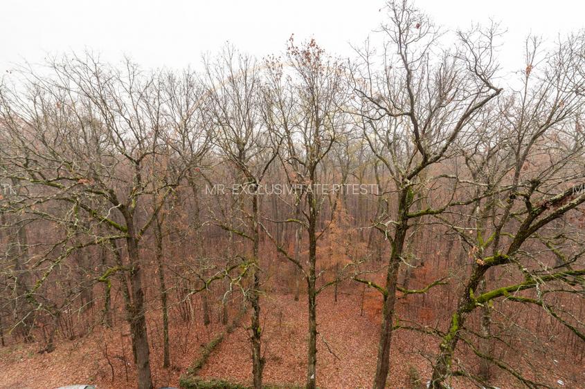 Apartament 2 camere, bloc 2014- rate fara dobanda direct la proprietar - 9