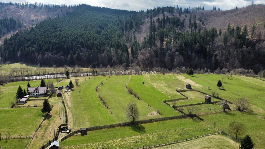 Vindem teren intravilan 8704 mp Vatra Moldovitei - Bucovina - 9